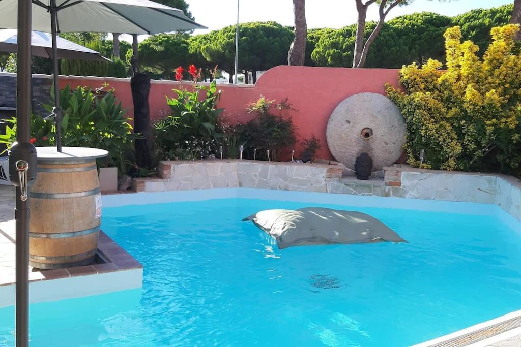 Hebergement Insolite Studio Grau Du Roi Mas Des Marines Piscine Le Grau-du-Roi Exterior photo
